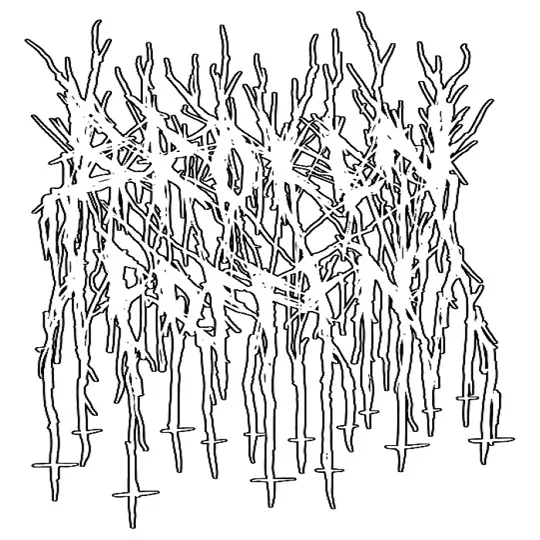 Demo cover