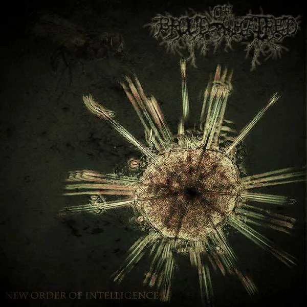 New Order of Intelligence cover