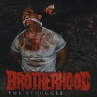 The Struggle cover