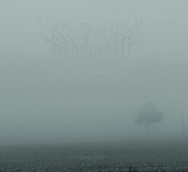 Brouillard cover