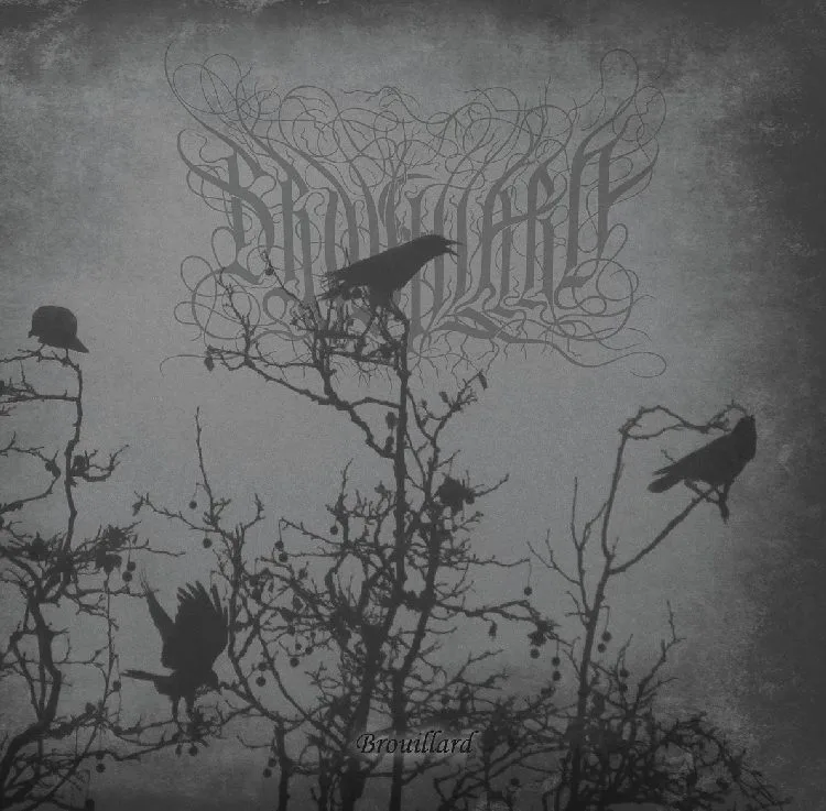 Brouillard cover
