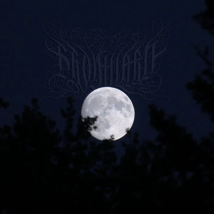 Brouillard cover