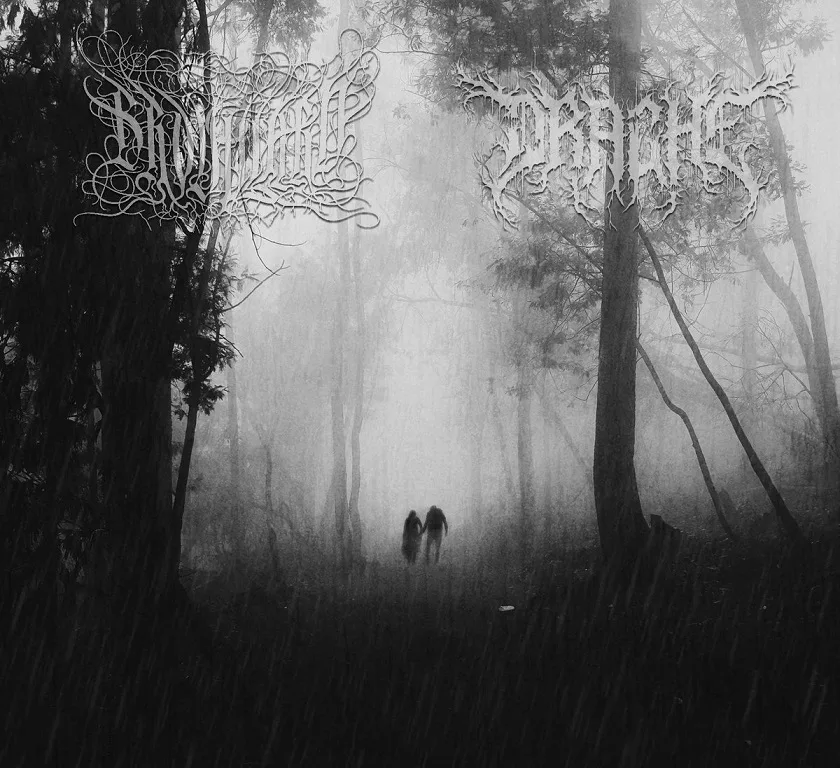 Brouillard et Drache cover