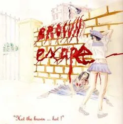 Hot the Brown...Hot! cover