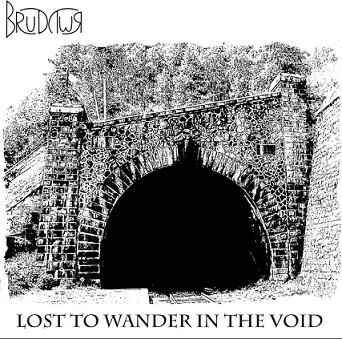 Lost to Wander in the Void cover