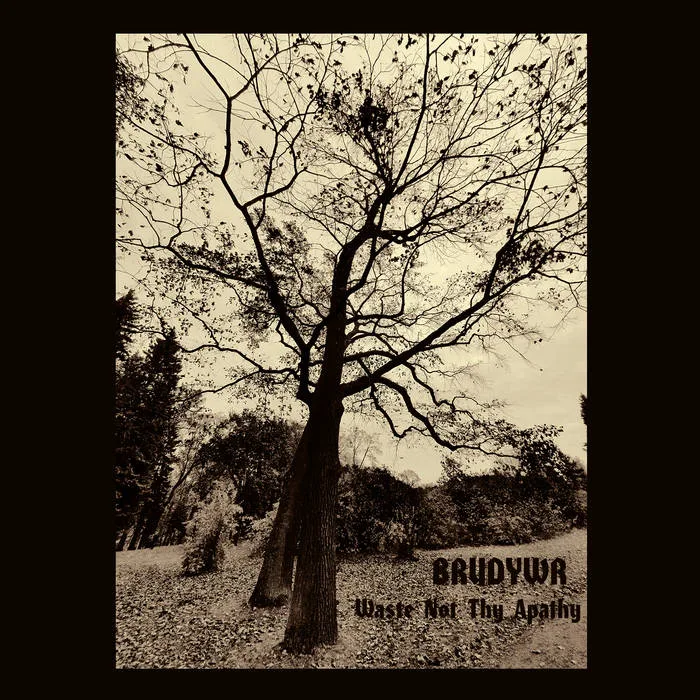 Waste Not Thy Apathy cover