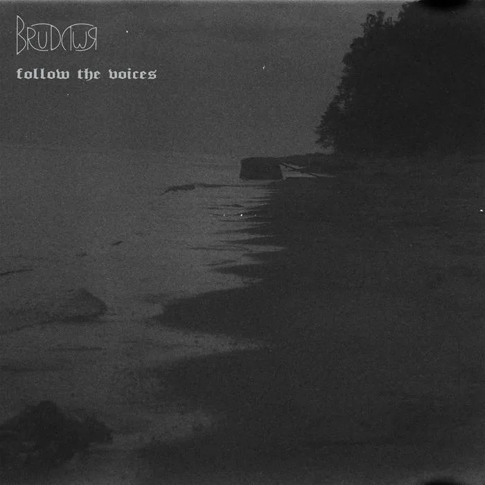 Follow the Voices cover