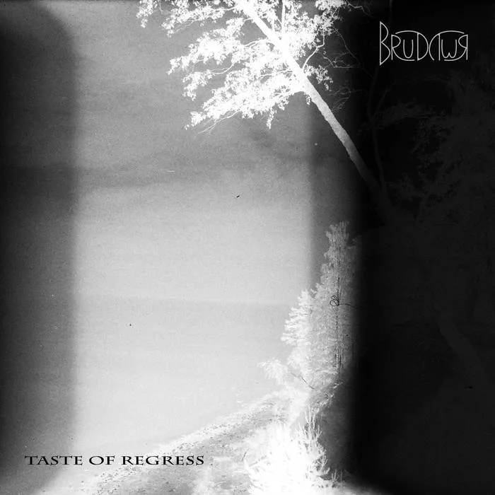 Taste of Regress cover