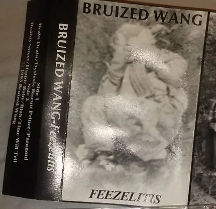 Feezelitis cover