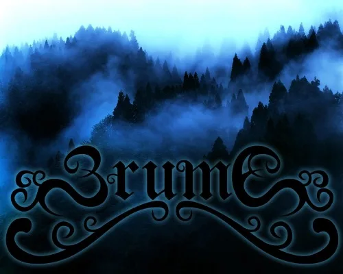 Journey Through the Misty Forest cover