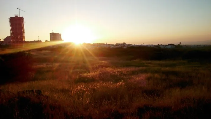 The Last Remaining Sunshine in the Sky cover