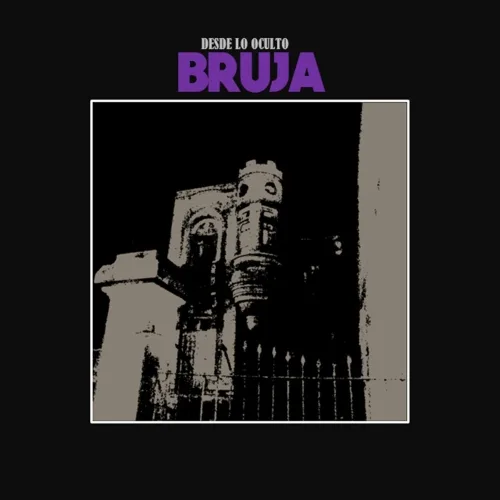 Desde lo oculto cover