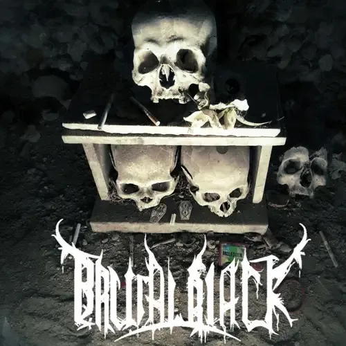 Carol of the Bells cover