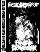 Scatologic Madness Possession / Brutal Decomposition cover