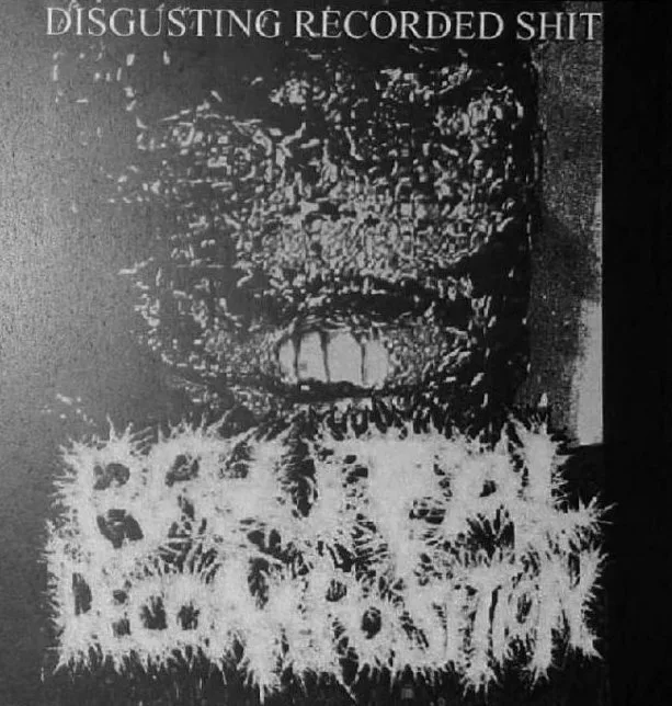 Disgusting Recorded Shit cover
