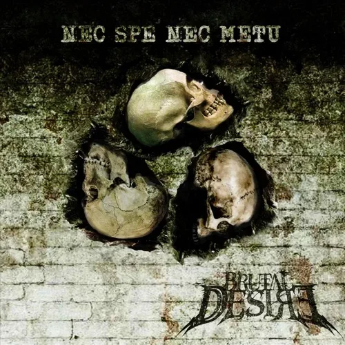 Nec Spe Nec Metu cover