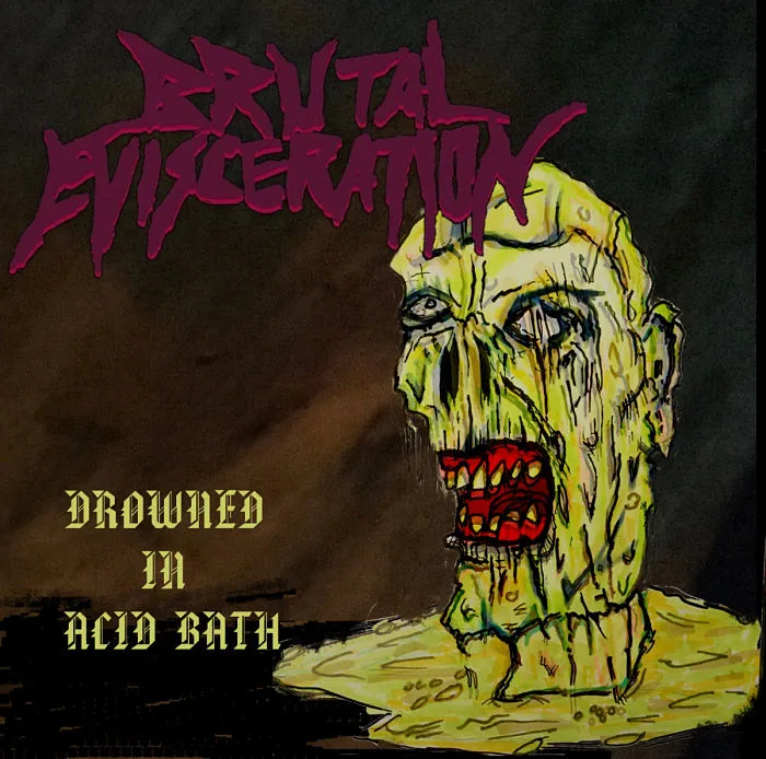 Drowned in Acid Bath cover