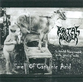 Smell of Capronic Acid cover