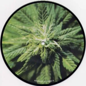 Brutal Truth / Rupture cover