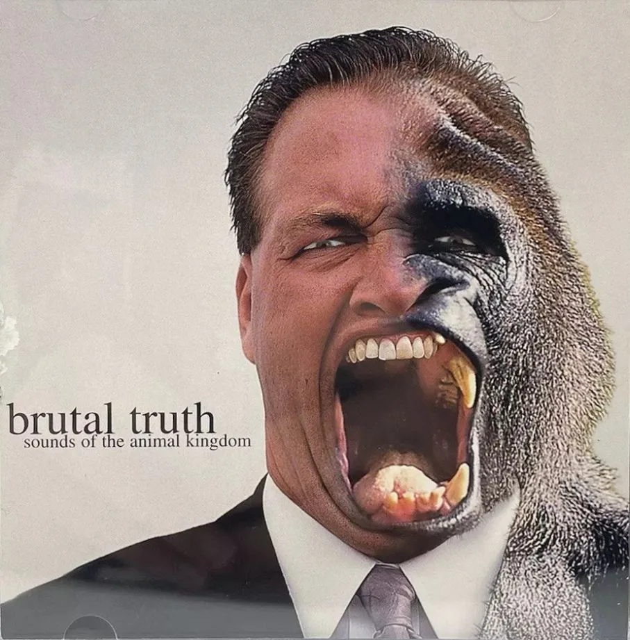 Sounds of the Animal Kingdom cover