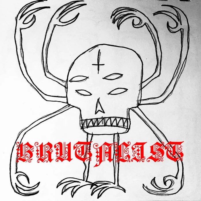 Zwarte Spinnen cover