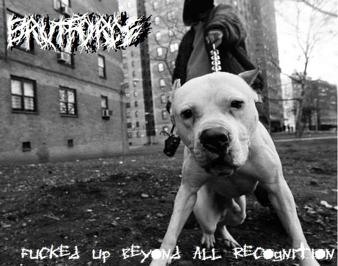 Fucked Up Beyond All Recogntion cover