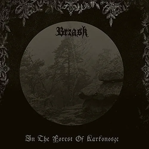 In the Forest of Karkonosze cover