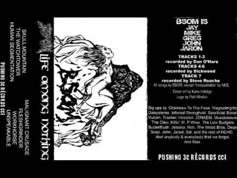 Life Among Nothing cover