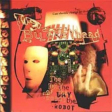 The Day of the Robot cover