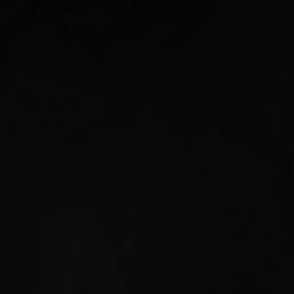 BooBoo Got His Black Belt cover