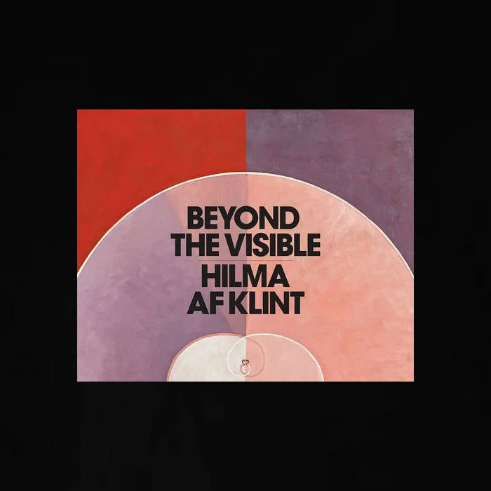 Beyond the Visible cover