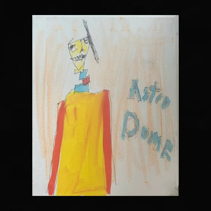 The Astro Dome cover