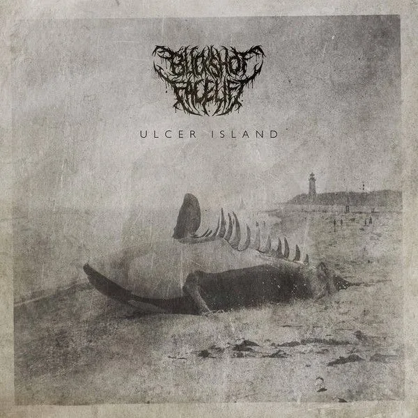 Ulcer Island cover