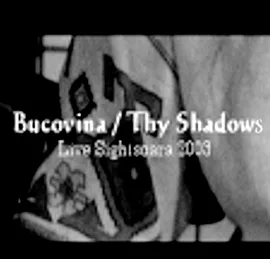 Live Sighisoara cover