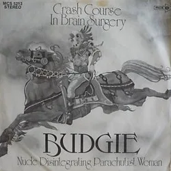 Crash Course in Brain Surgery cover