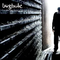 Bughole cover