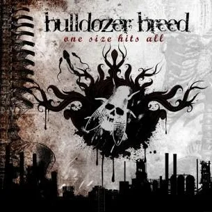 One Size Hits All cover