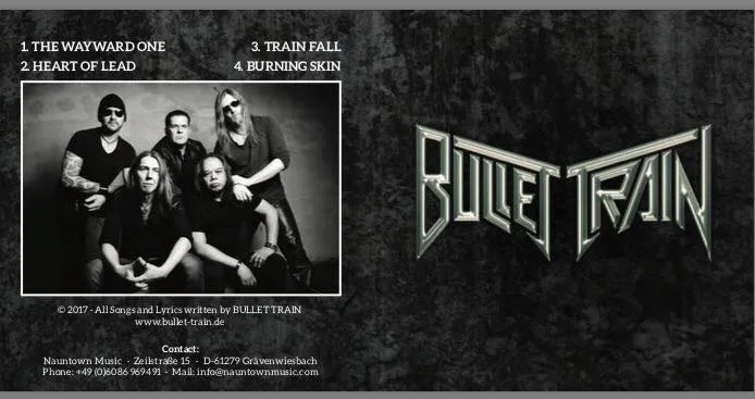 Bullet Train cover