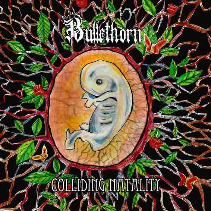 Colliding Natality cover