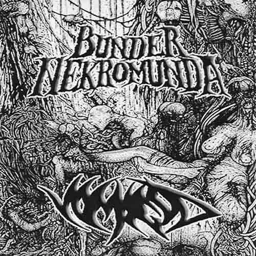 Landsberg vs. Grunberg cover