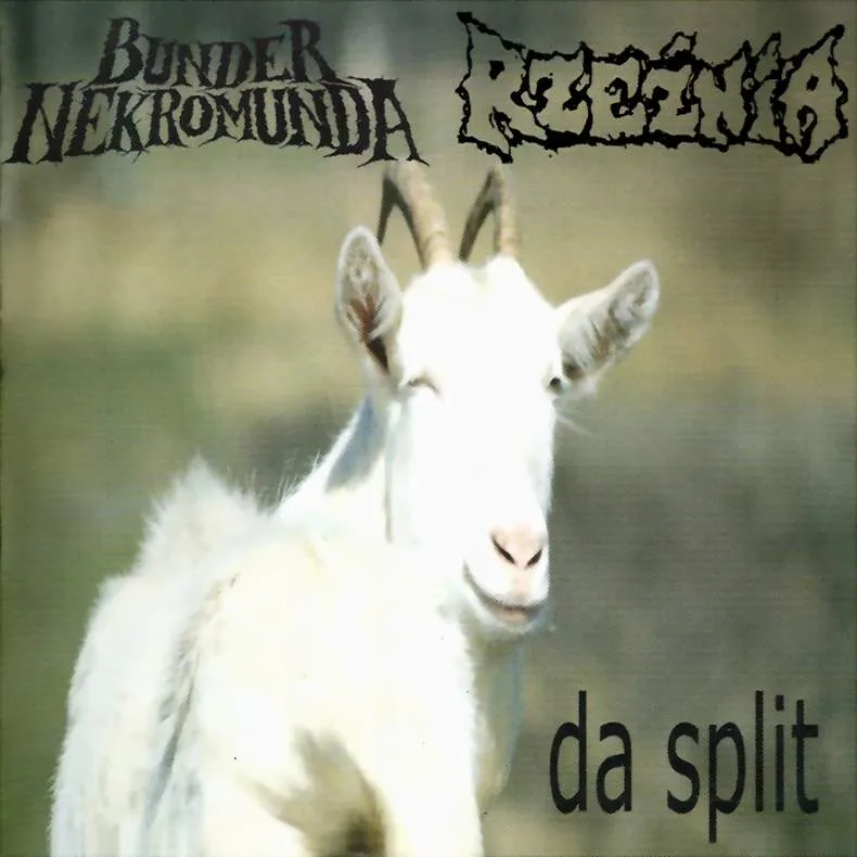 Da Split cover