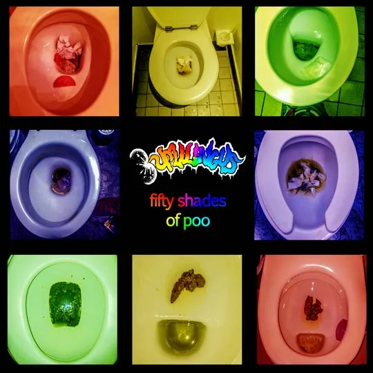 Fifty Shades of Poo cover