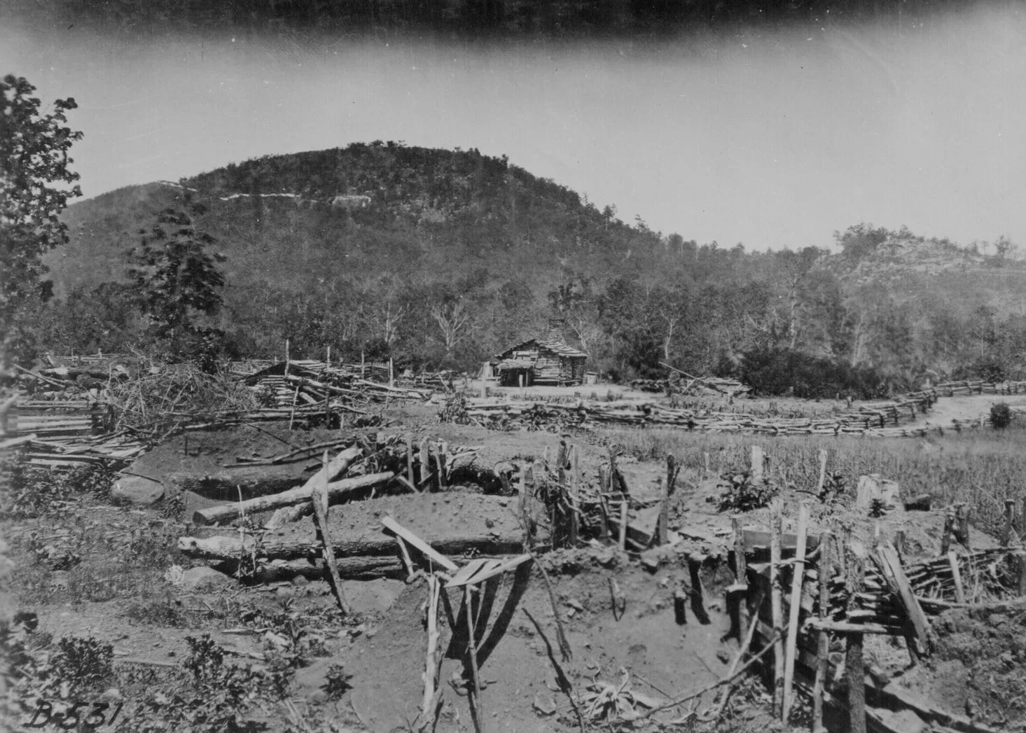 The Drought Whore cover