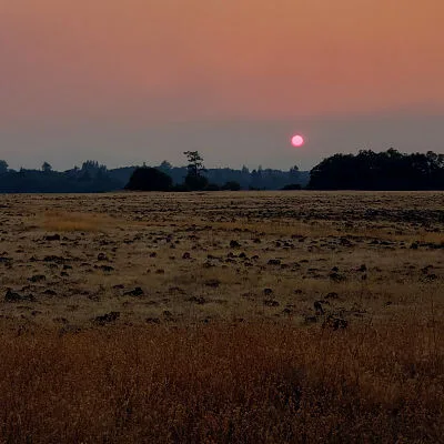 Last Days of a Dying World cover