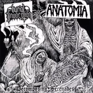 Decomposing Serenades cover