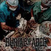 Carcass of the Martyr cover