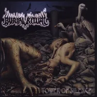 Tower of Silence cover