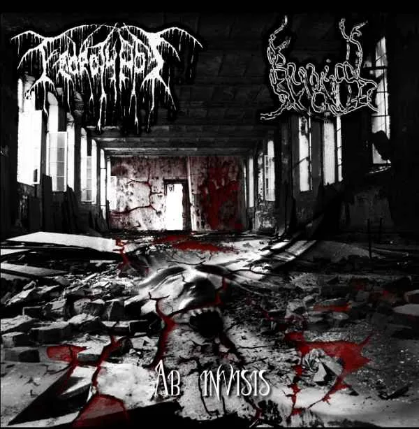Ab Invisis cover
