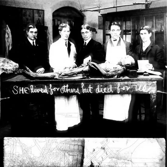 She Lived for Others but Died for Us cover