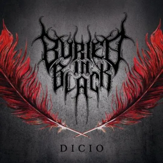 Dicio cover